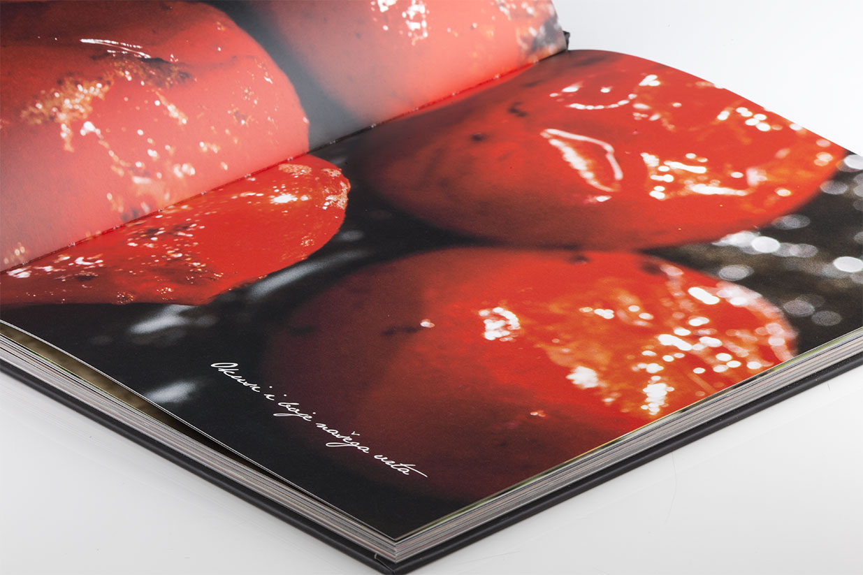 Dizajn knjige/kuharice Academia by Tomislav Kožić